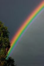 Regenbogen1_600.webp