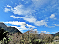 Blauer Himmel v.webp