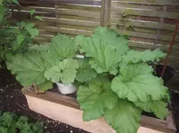 DSCF9100.webp