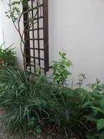 DSCF0163.webp