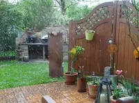 Blütenschnee.webp