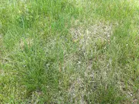 IMG_3786.webp