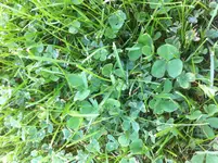 IMG_3788.webp