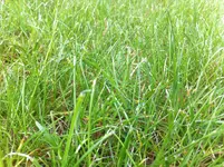 IMG_3789.webp