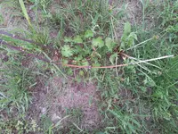 20130510_182131.webp