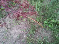 20130510_182137.webp