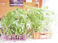 S7300018.webp