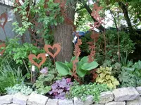 CIMG3110.webp
