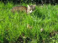 Kopie von IMG_0176.webp