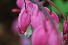 DSC_7140.webp