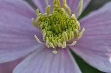 DSC_7135.webp