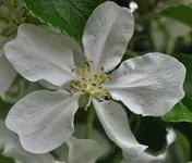 DSC_7157.webp