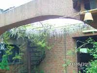 Blauregen.webp