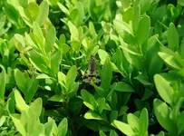 K20D0012.webp