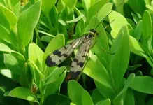 K20D0010.webp