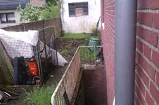 Garten 3.webp