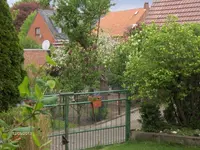 HPIM9497.webp