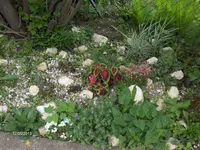 HPIM9492.webp