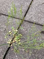 Foto (18).webp