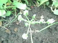BILD3160.webp