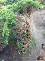 Bild 079.webp