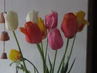 009.webp