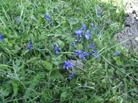 BILD0340.webp