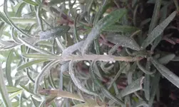 20130514_192425.webp
