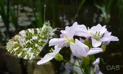P1020308.webp