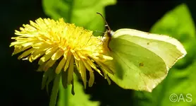 P1020299.webp