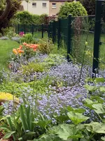 13-05-14-1.webp