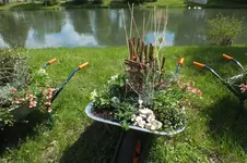 2013_0514Frühling0054.webp