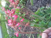20130515_145937.webp