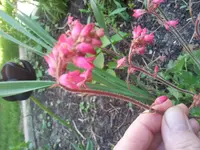 20130515_145927.webp