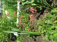 20130515_143258.webp