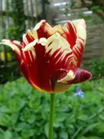 DSC02876.webp