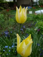 DSC02832.webp