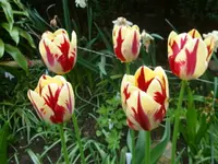 DSC02877.webp