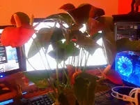 Foto0311.webp