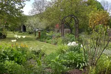 Garten 05 3 2013 008.webp