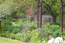 Garten 05 3 2013 009.webp