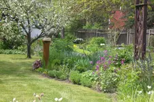 Garten 05 3 2013 010.webp