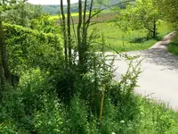 Aussicht.webp