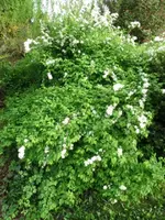05.webp