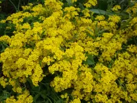 DSC02789.webp