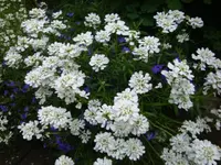 DSC02790.webp
