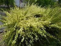 DSC02810.webp