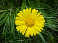 DSC02803.webp