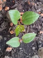 20130516_155245.webp