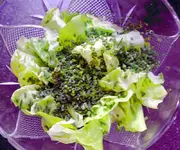 Kopfsalat.webp